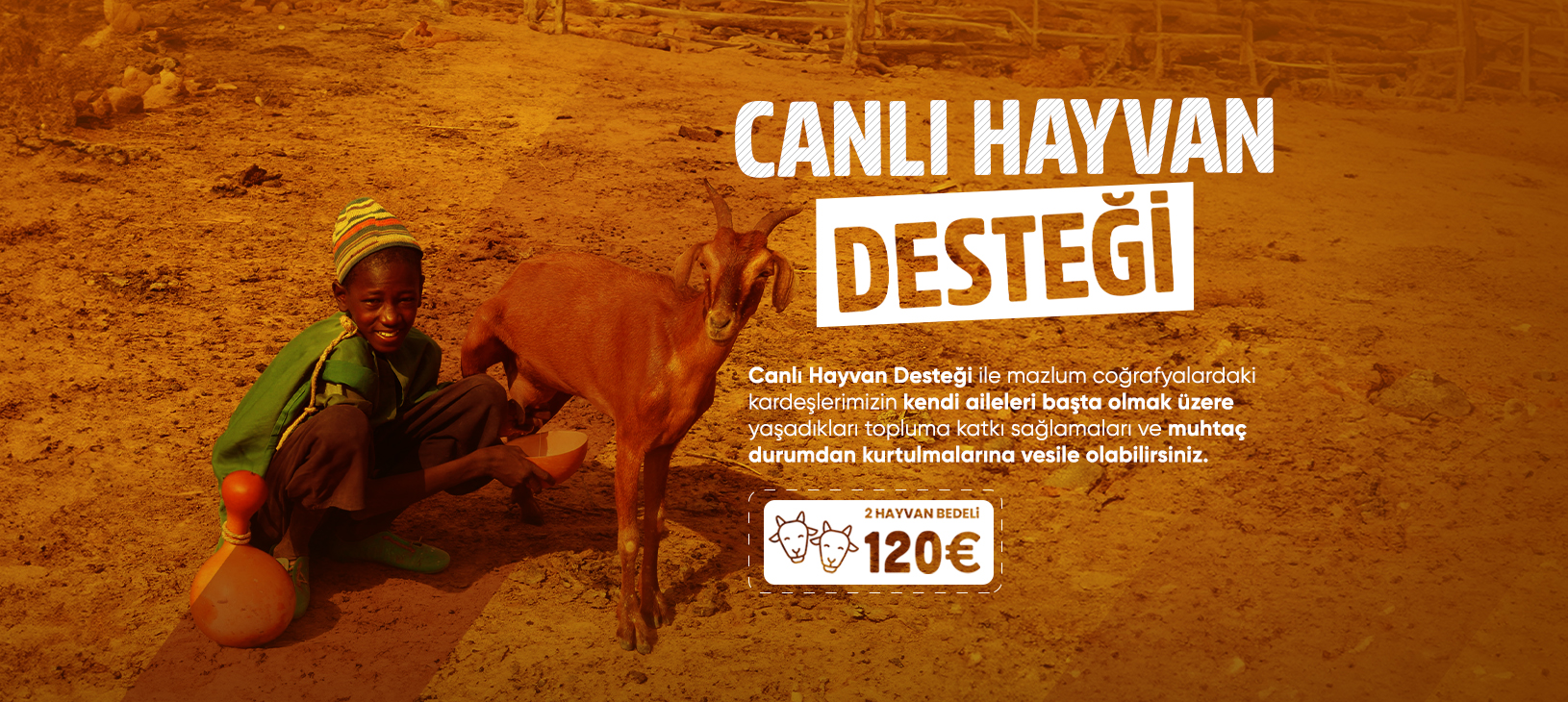 Canlı Hayvan Desteği